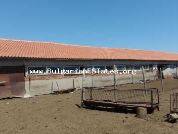 Стопански имот за продажба в село Зимница, на 90 км от Бургас и 10 км от град Ямбол.